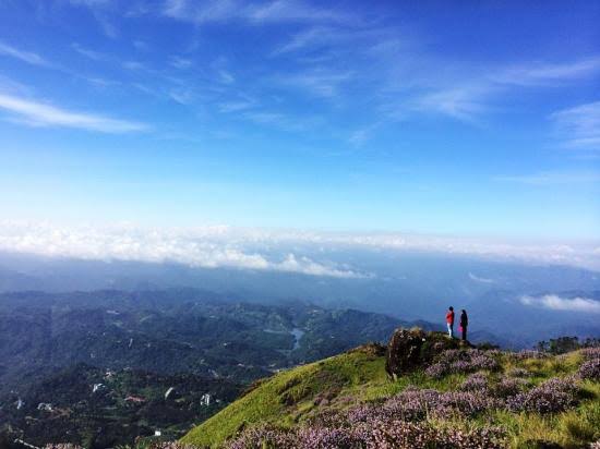 gap road munnar